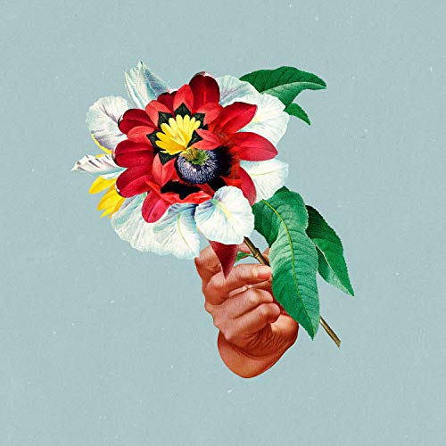 Hand holding a vibrant, layered red and white flower against a blue background.