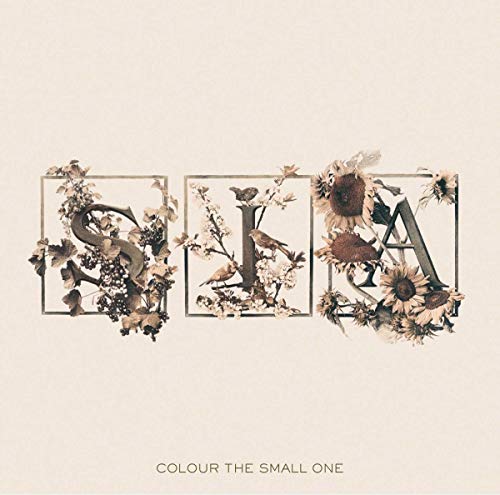Sia album cover, "Colour the Small One", with floral and bird imagery.
