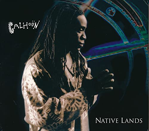 CD cover featuring Will Calhoun in profile with abstract colorful design.