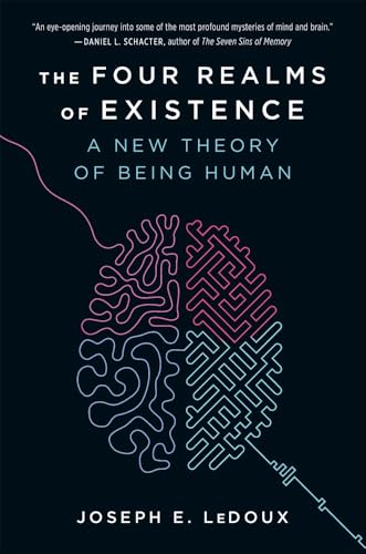 The Four Realms of Existence : A New Theory of Being Human