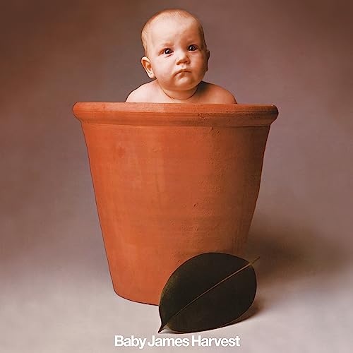 Baby face emerging from a terracotta pot, with a single leaf nearby.