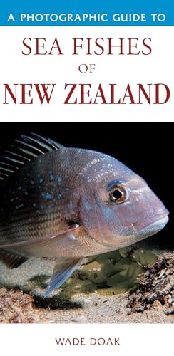 Photographic Guide to Sea Fishes of New Zealand