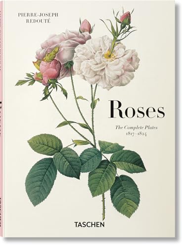 Redoute. Roses