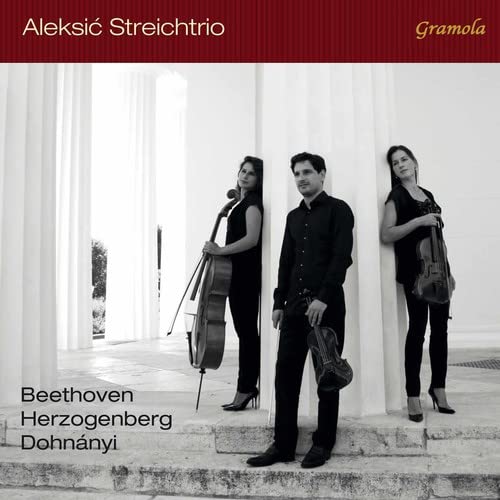 Three musicians with cello, viola, and violin stand before columns.