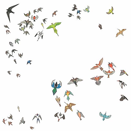 Album cover with a swirling flock of colorful, illustrated birds.