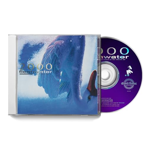 Fleshwater CD case and disc with abstract blue and purple artwork.