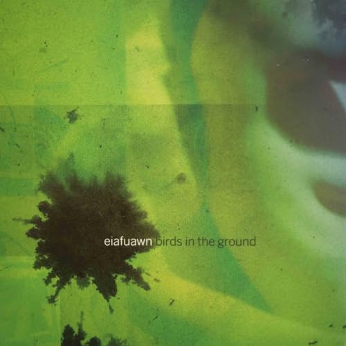 Green and brown abstract album cover for “Birds In The Ground.”