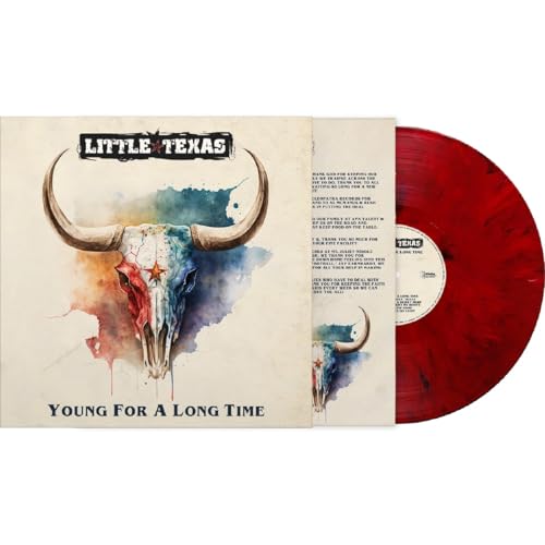 Vinyl record and album cover featuring a painted bull skull.