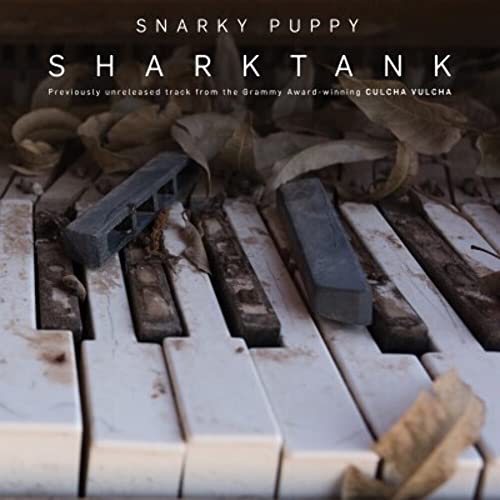 Snarky Puppy album "Sharktank" vinyl cover with piano keys and debris.