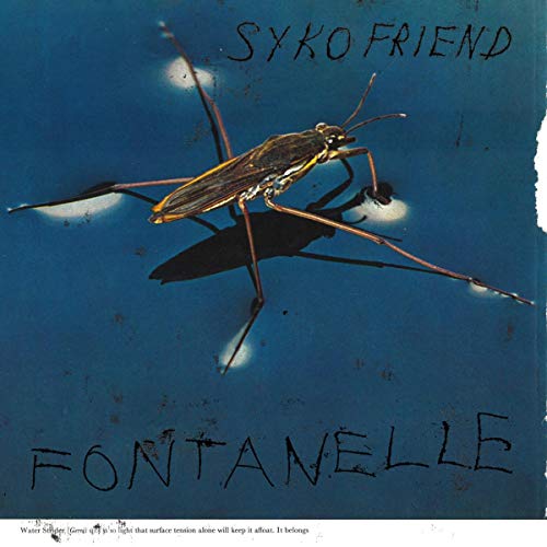 Blue album cover featuring a water strider insect and white text.