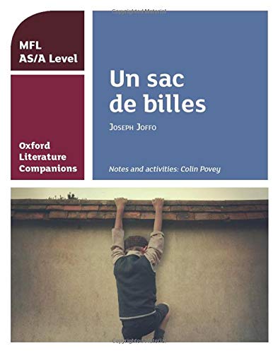Study guide cover for āUn sac de billesā with a boy climbing.