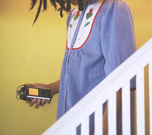 Man with dreadlocks holding a recorder, standing on stairs.