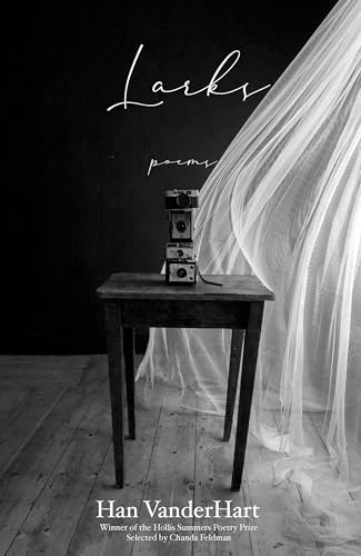 Larks : Poems