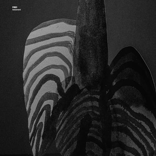 Black and white album cover with abstract zebra-like stripes.