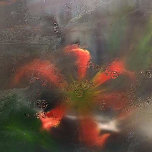 Abstract floral image with swirling red, green, and yellow tones.