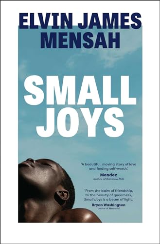 Small Joys : A Buzzfeed 'Amazing New Book You Need to Read ASAP'