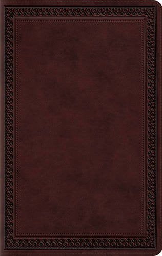 ESV Large Print Value Thinline Bible