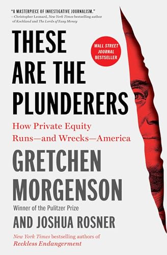 These Are the Plunderers : How Private Equity Runs—and Wrecks—America