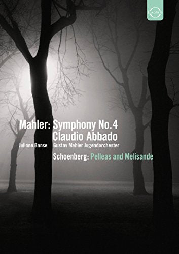 DVD cover: misty forest, text listing Mahler, Abbado, and Schoenberg.