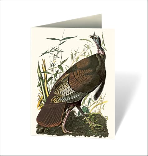 Audubon's Birds of America : An Abbeville Notecard Set