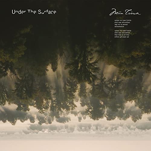 Vinyl album cover: inverted forest reflection with text overlay.