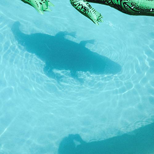Blue water with shadows and partial green inflatable alligator visible.