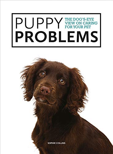 The Dog's-Eye View on Tackling Puppy Problems (Dogs-Eye View)