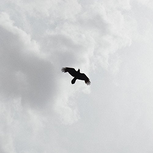 Silhouetted bird flying against a cloudy, grey sky; CD cover art.