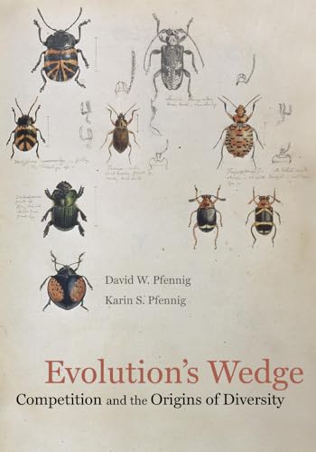 Evolutions Wedge: Competition and the Origins of Diversity