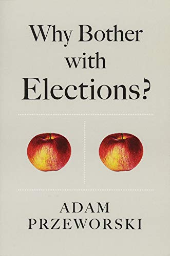 Why Bother With Elections?