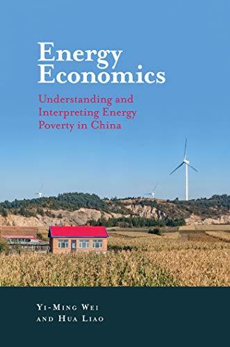 Energy Economics: Understanding and Interpreting Energy Poverty in China
