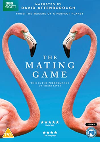 DVD cover featuring two flamingos forming a heart shape.