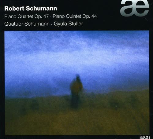 CD cover for Schumann piano quartet and quintet, with blurred landscape.