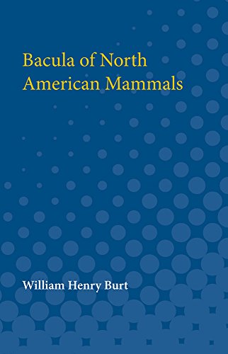 Bacula of North American Mammals