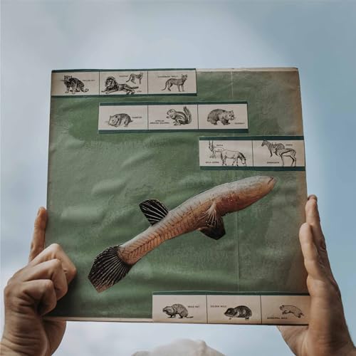 Vinyl record cover with illustrated animals and a large fish graphic.