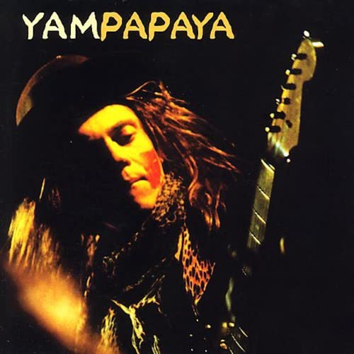 CD cover featuring a musician with long hair and a guitar.