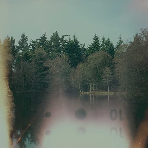 Forest and water reflection with a faded, blurry foreground effect.