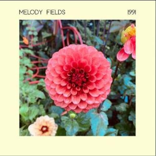 Album cover for “Melody Fields - 1991” featuring a close-up of pink dahlias.
