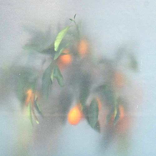 Blurred CD cover with oranges and green leaves in mist.