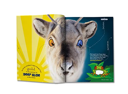 Open book displaying a close-up of a reindeer’s face and a small frog.