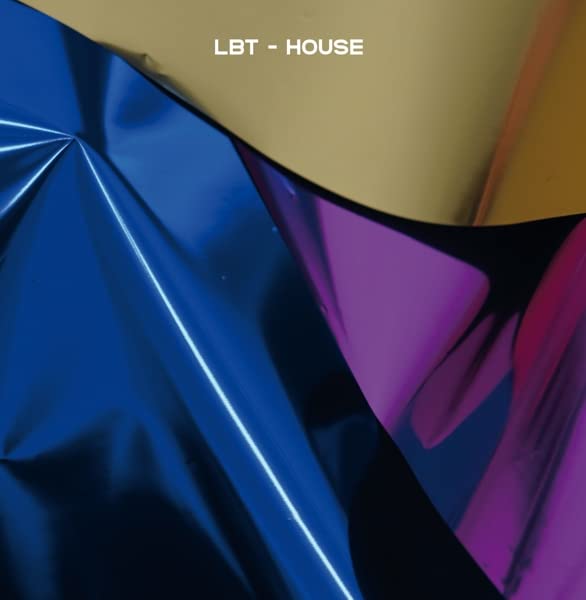 Shiny, abstract vinyl record cover with text “LBT - HOUSE” in yellow.