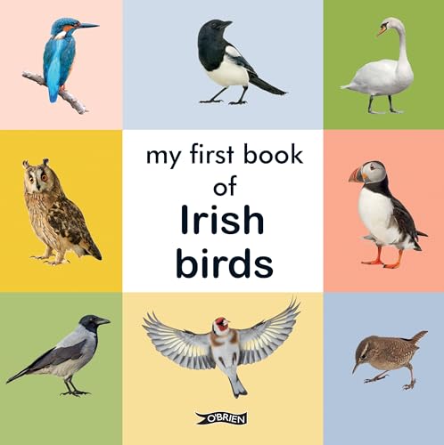 My First Book of Irish Birds (First Steps)
