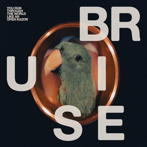 Record cover featuring a parrot in an oval frame, bold text.