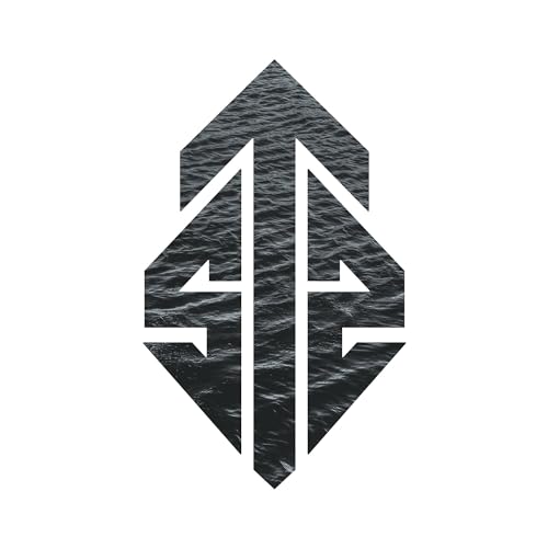 Black and white abstract logo with arrow shapes and textured fill.