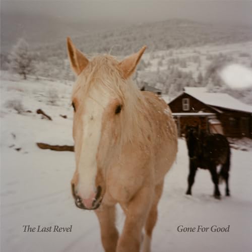 Pale horse in snowy landscape, with a cabin in the background.