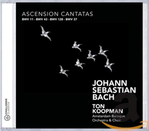 CD cover: black background with white birds and text, “Bach” prominent.