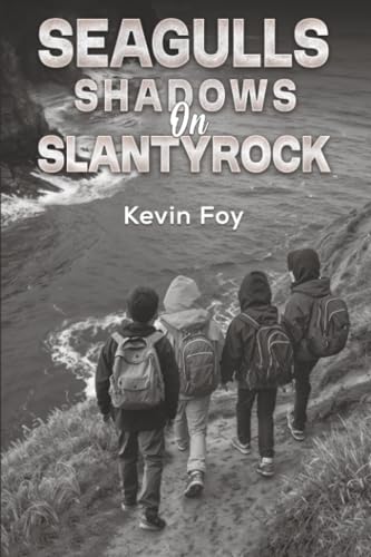 Seagulls Shadows on Slantyrock