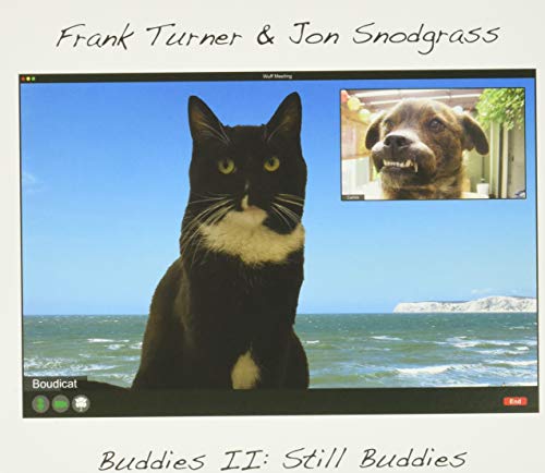 CD cover: cat and dog on a video call with a beach backdrop.