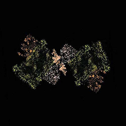 Black background with a symmetrical arrangement of green and orange foliage.