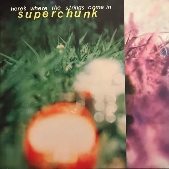 Superchunk album cover: blurred orange fruit, grass, and pink flowers.
